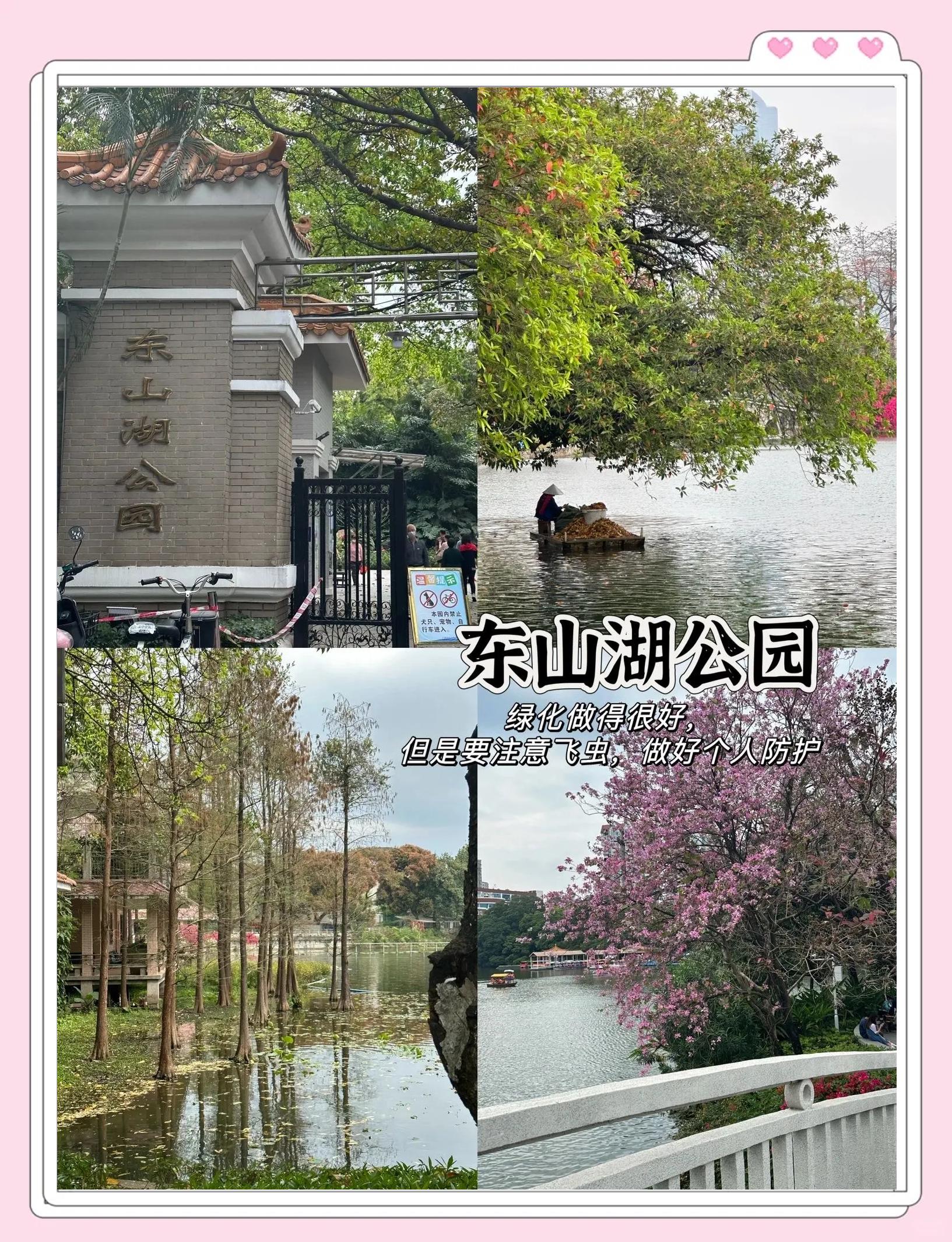 广州东山湖公园钓鱼技巧(广州免费钓鱼的公园)