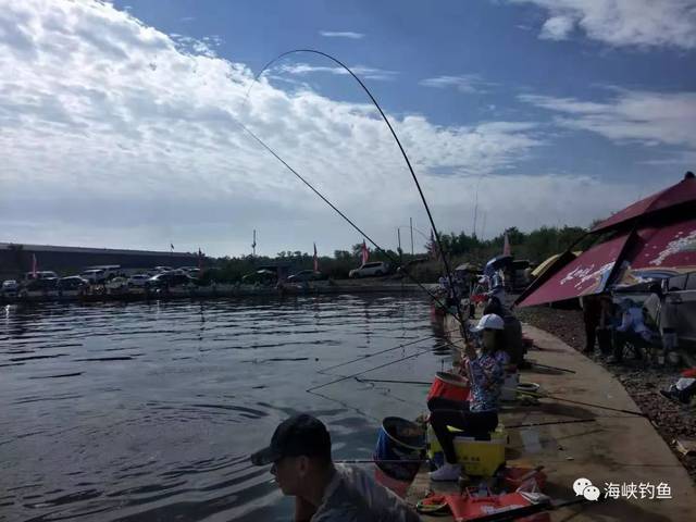 天津出海钓鱼事故(天津 出海钓鱼需要什么手续)