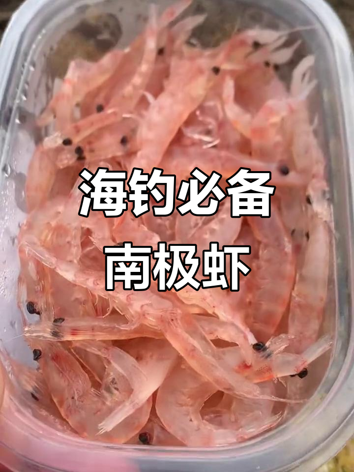 海钓飘活虾技巧(飘虾海钓鲈鱼视频)