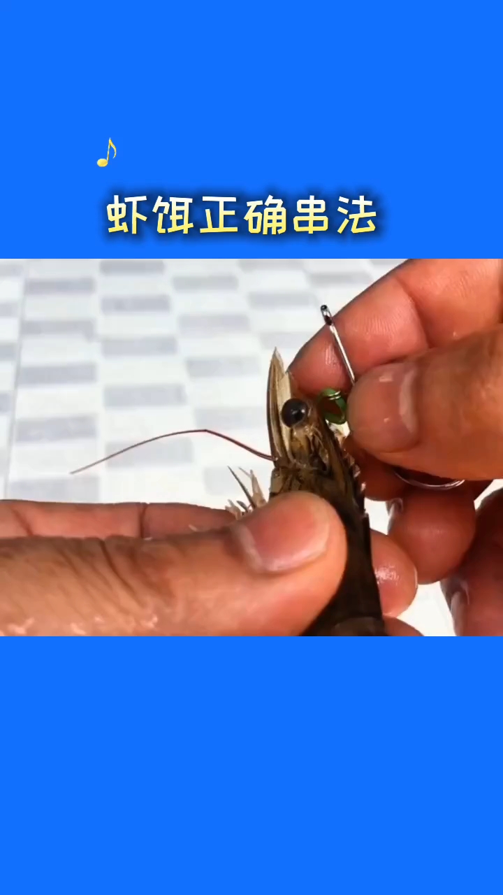 海钓飘活虾技巧(飘虾海钓鲈鱼视频)