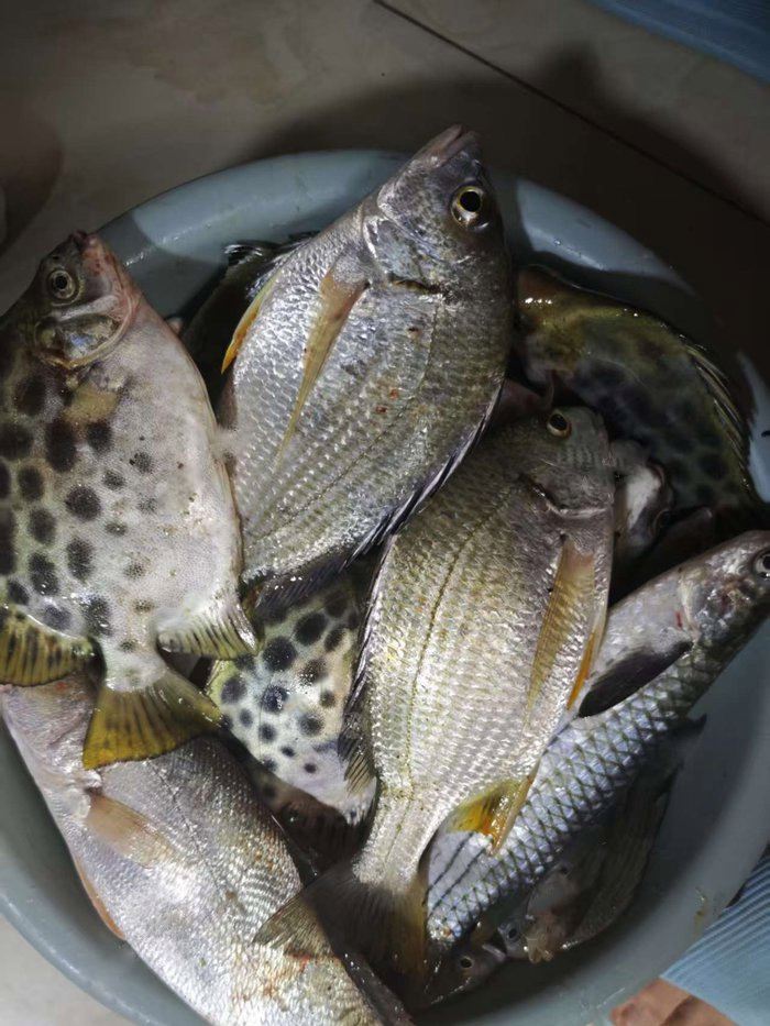 矶钓路亚(矶钓路亚竿) 矶钓路亚(矶钓路亚竿)