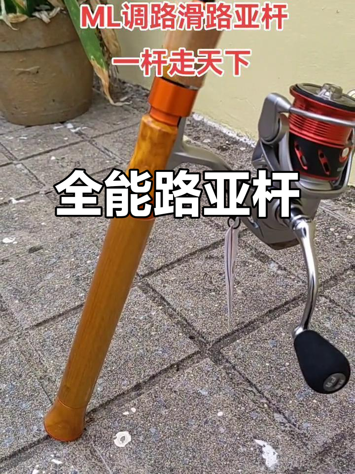 天下系列路亚竿(钓天下鱼竿多少钱)