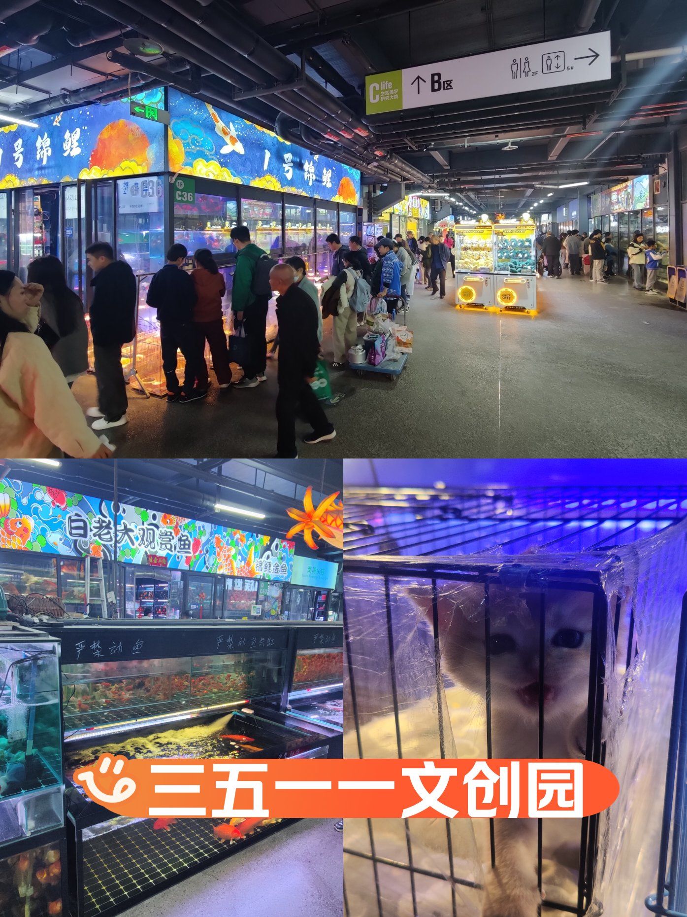 西安的渔具批发市(西安的渔具批发市场有哪些)