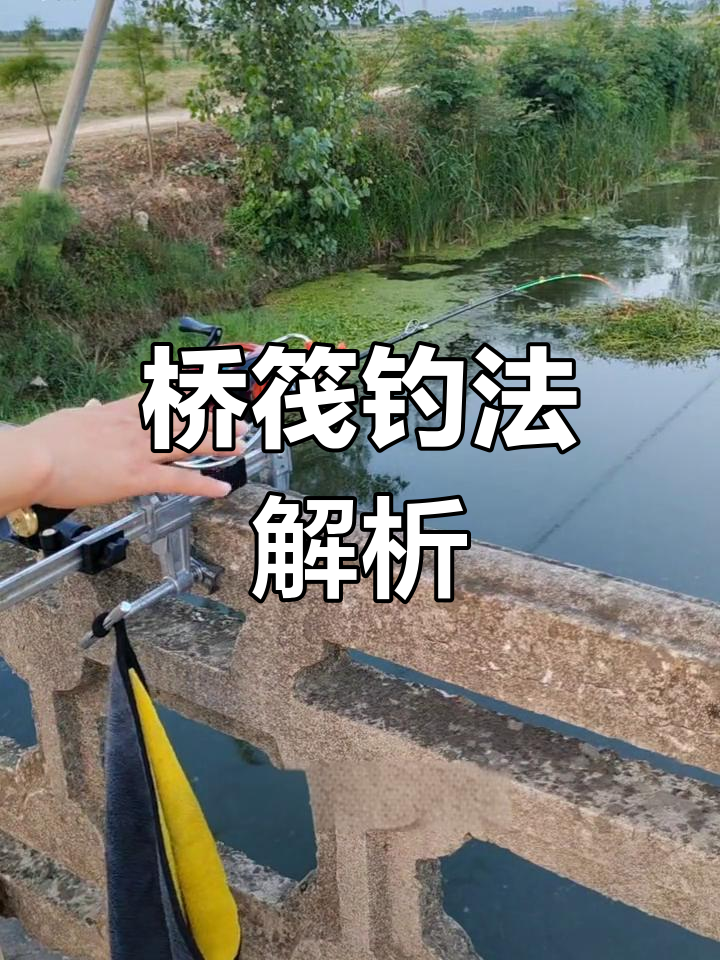 筏竿夜钓技巧(筏竿夜钓技巧和方法)