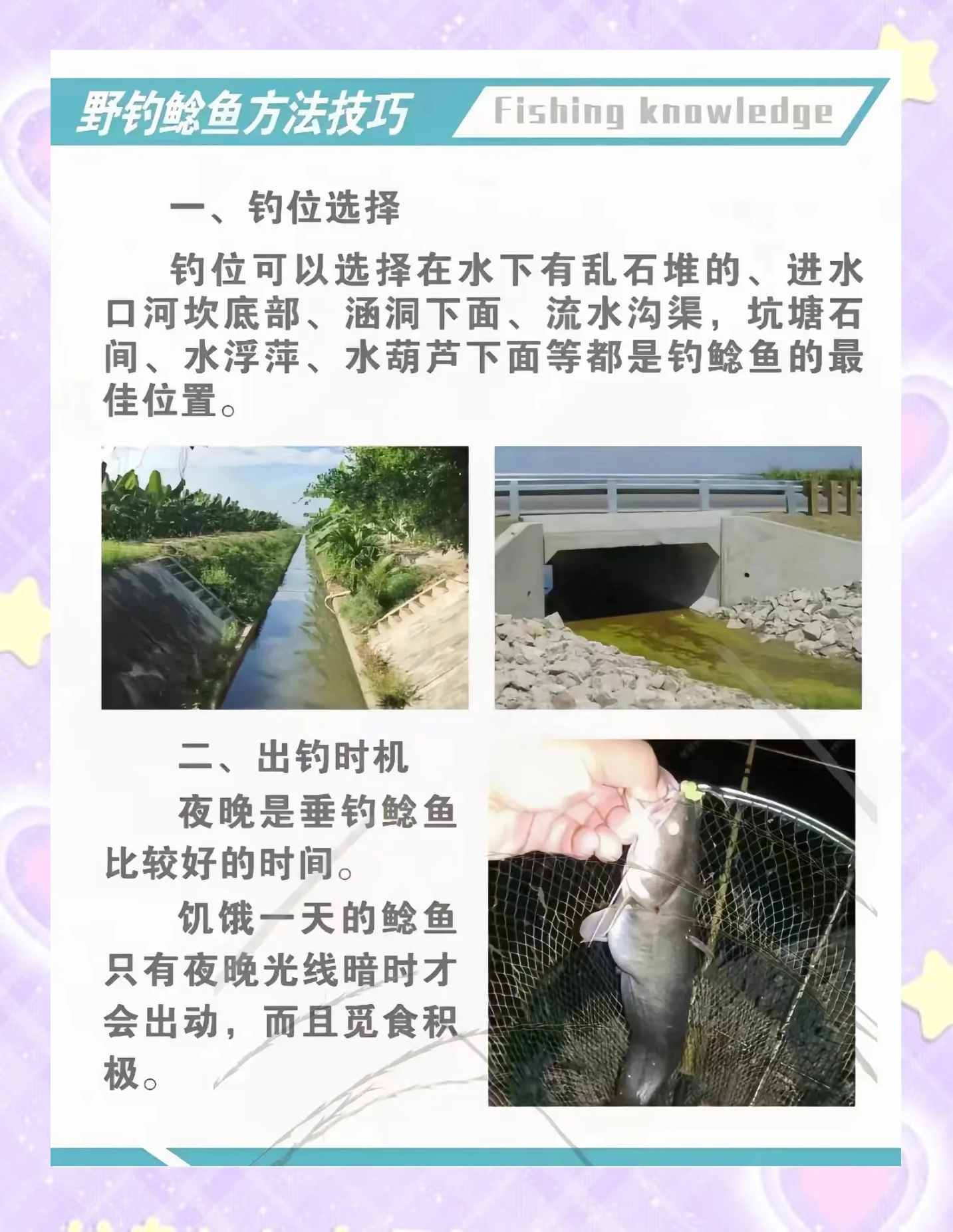 抓鲶鱼技巧(如何抓鲶鱼)