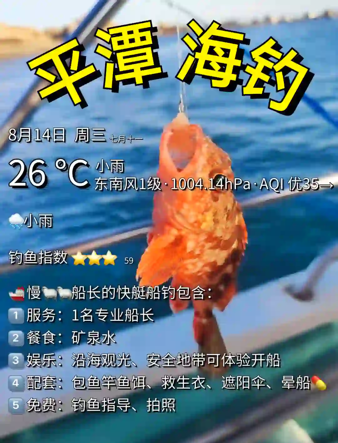 专业海钓天气预报(钓海鱼的天气预报)