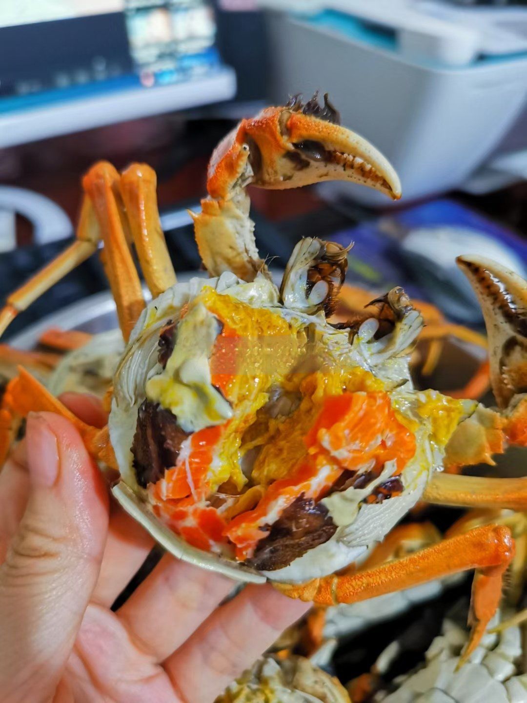 七里海钓螃蟹视频(七里海钓螃蟹视频播放)