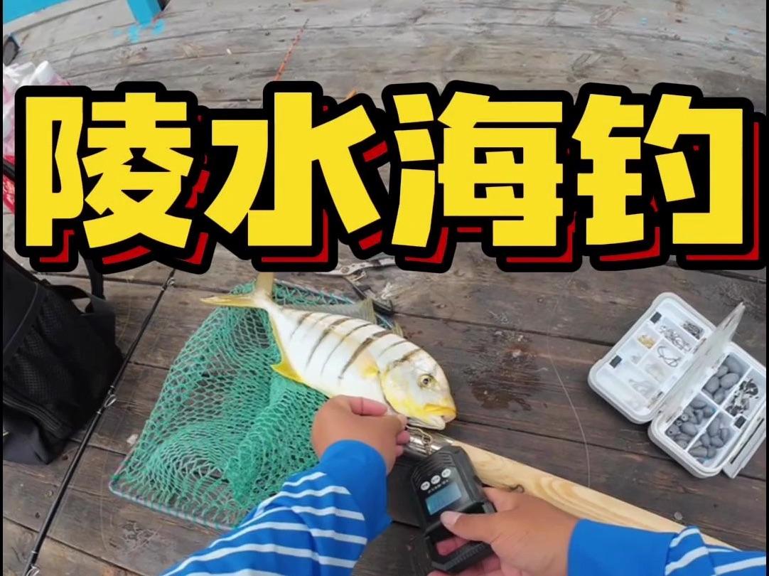 海钓金鲳鱼的方法(钓金鲳鱼用什么最好钓)