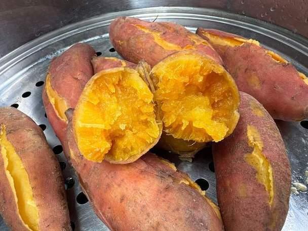 红薯怎么发酵鱼饵料(红薯怎么发酵鱼饵料好)