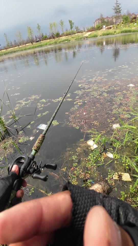 湖南邵阳路亚(湖南邵阳枪案)