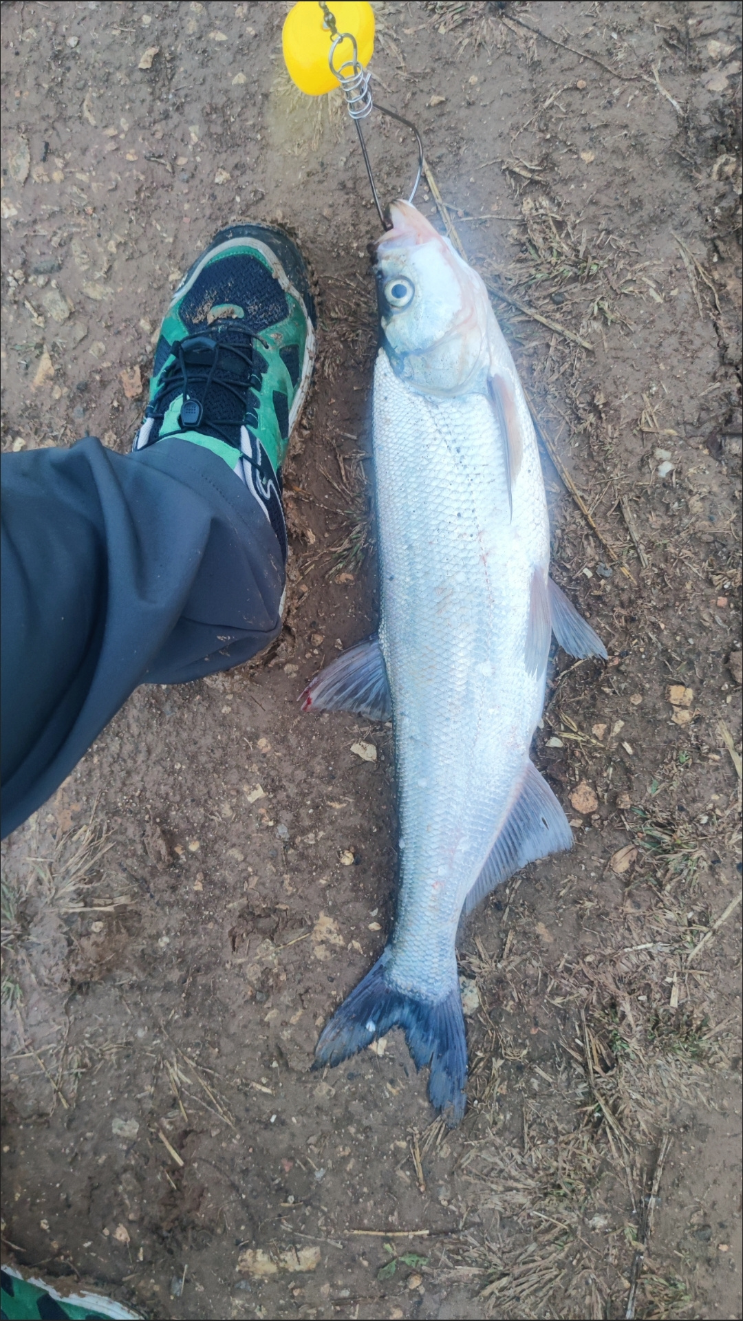 通化路亚(通化安瑞特招聘)