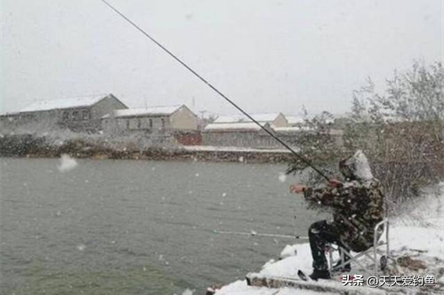 冬未上海钓鱼(上海钓鱼网官网)