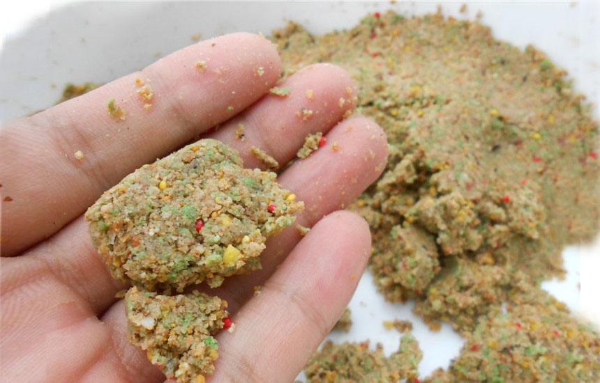 晚秋野钓打窝技巧(晚秋钓大鱼)