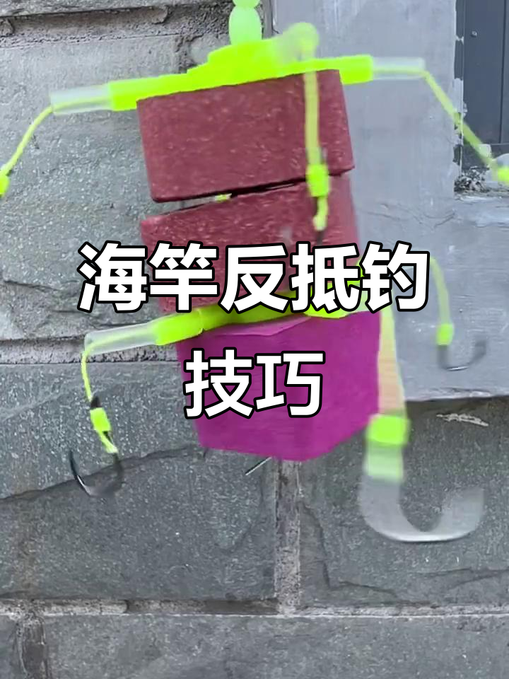 海竿夜钓鲢鱼技巧(海竿夜钓鲢鱼技巧视频)