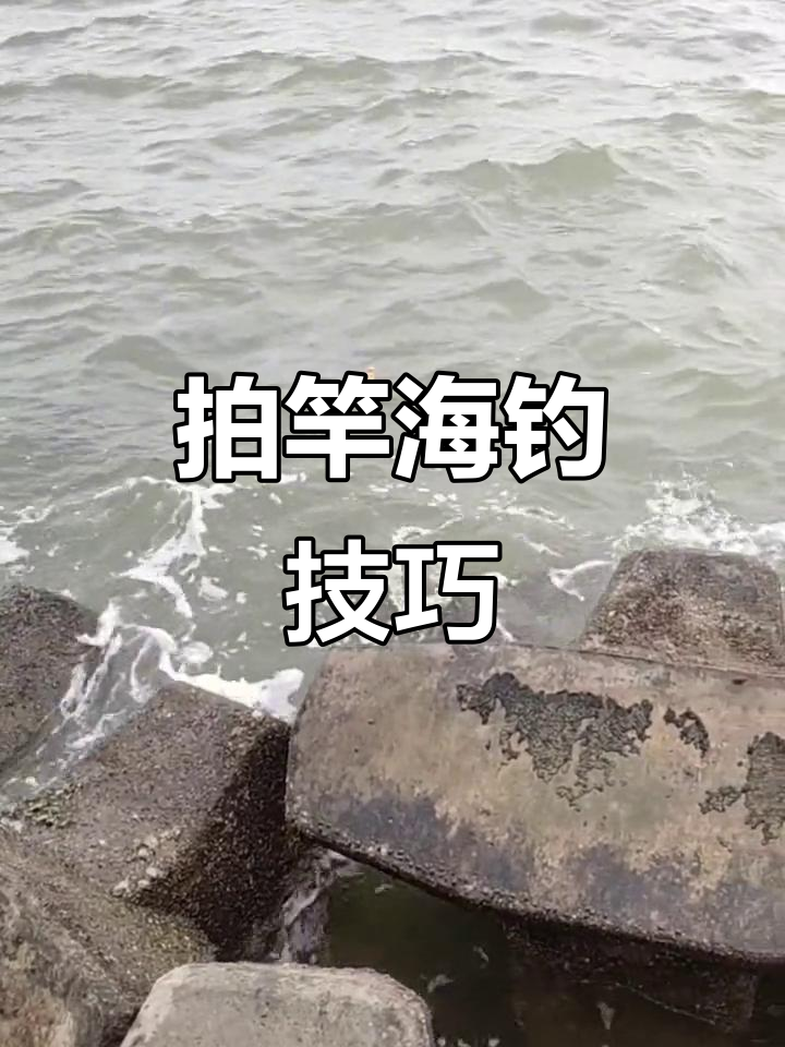 海钓技巧岸边(海钓岸钓的技巧) 海钓技巧岸边(海钓岸钓的技巧)
