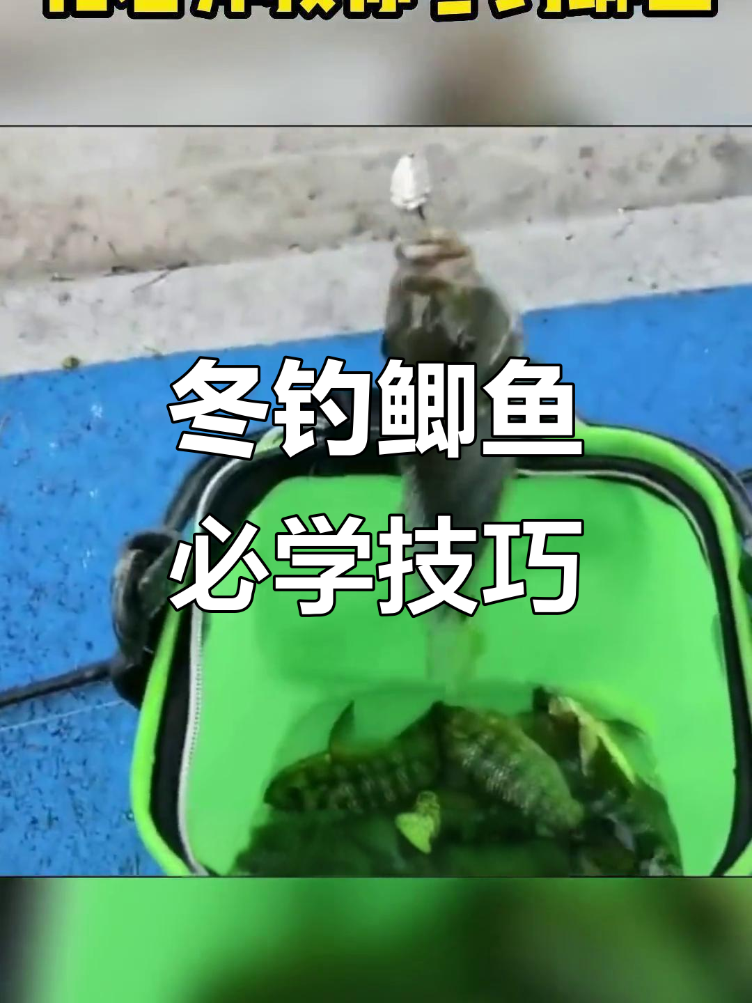 晚上冬天钓鱼技巧(冬天晚上钓鱼用什么饵料好)