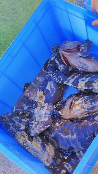 汕头海钓好去处(汕头海钓最好的地方)