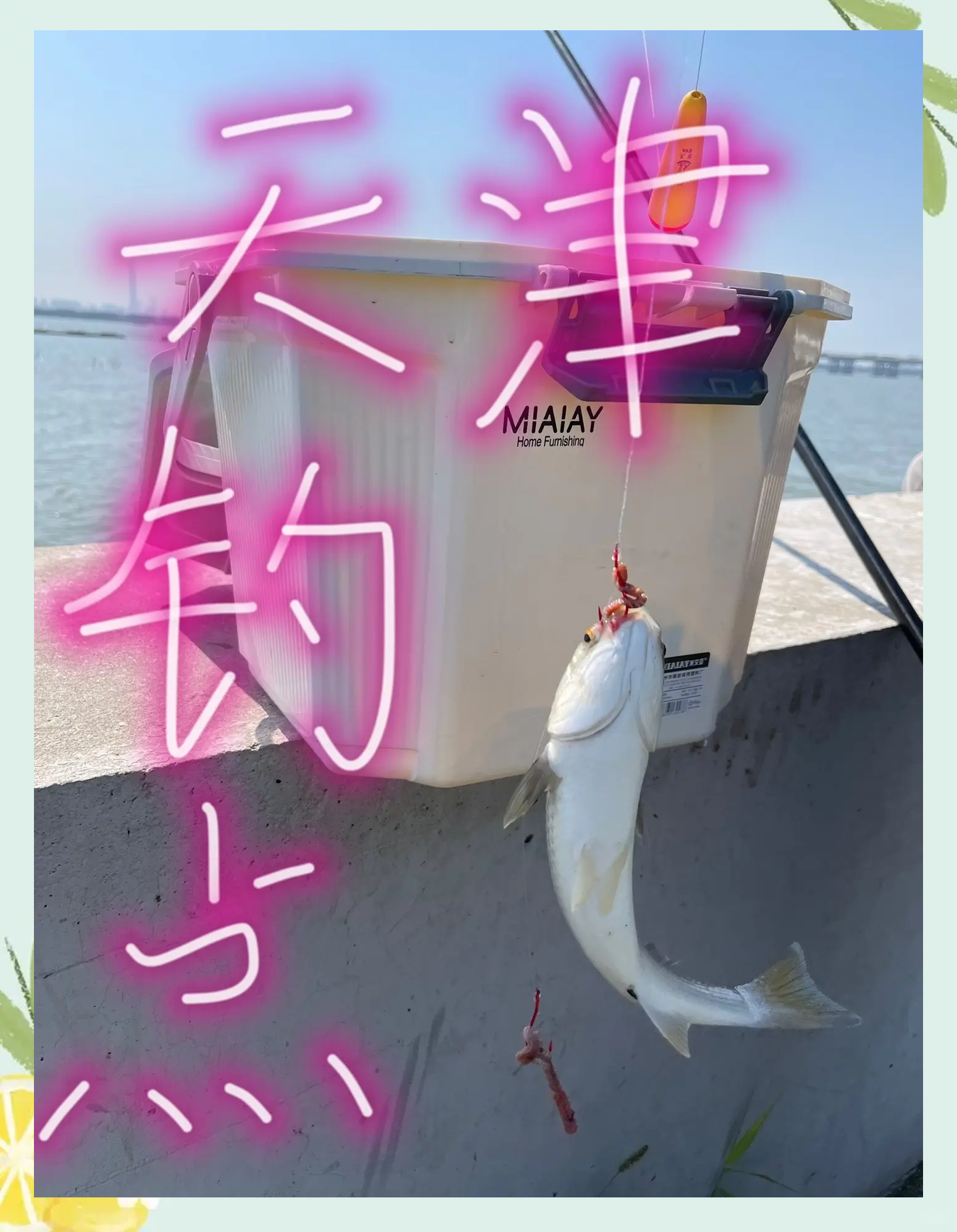 在湛江哪里可以海钓(湛江哪里可以钓淡水鱼)