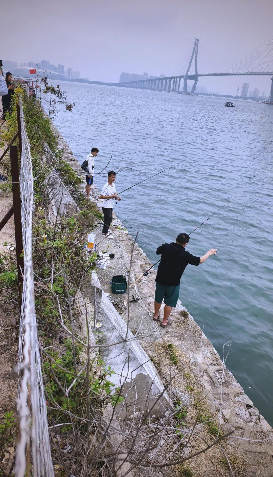 在湛江哪里可以海钓(湛江哪里可以钓淡水鱼)