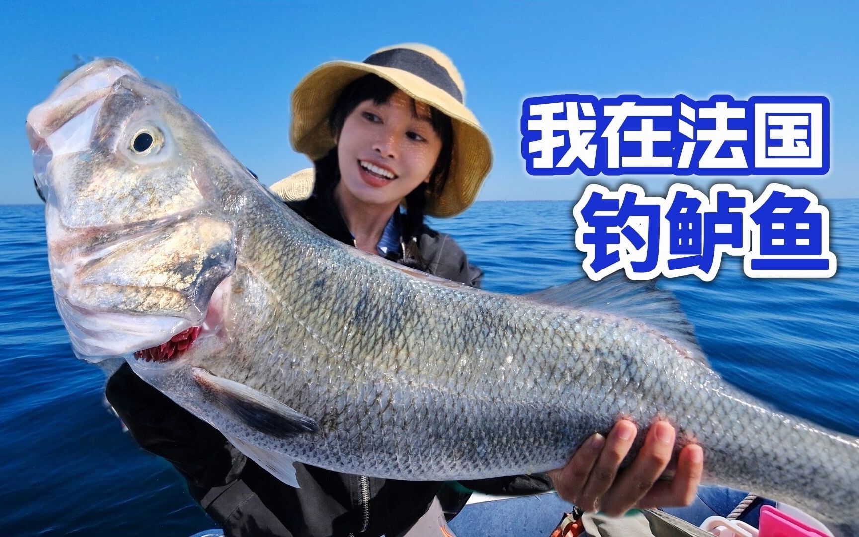 海钓海鲈视频(海钓海鲈视频大全)