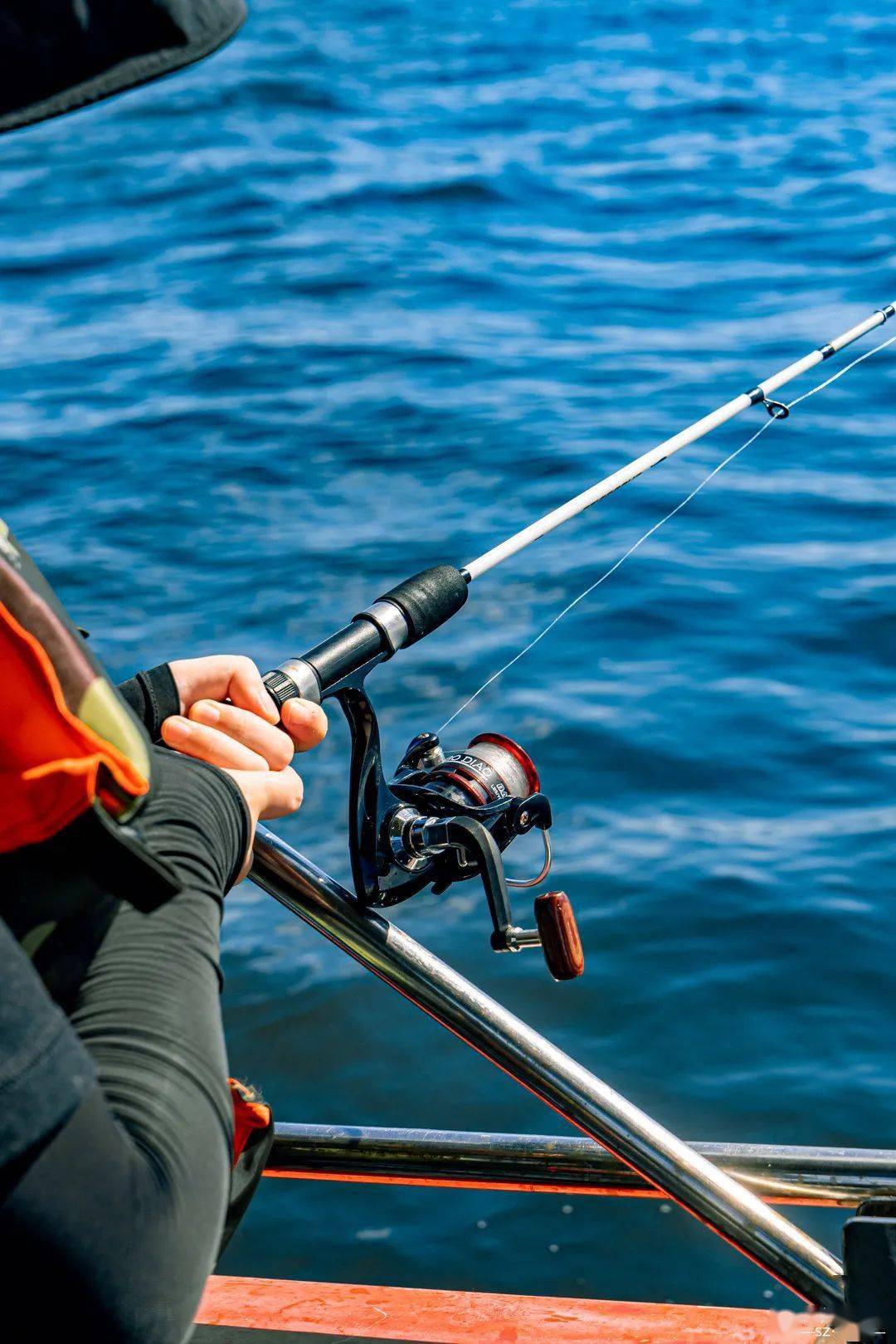 出海海钓图片(出海钓鱼是什么意思)