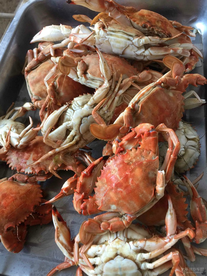 泉州滨海钓鱼论坛(泉州滨海公园可以钓鱼吗)