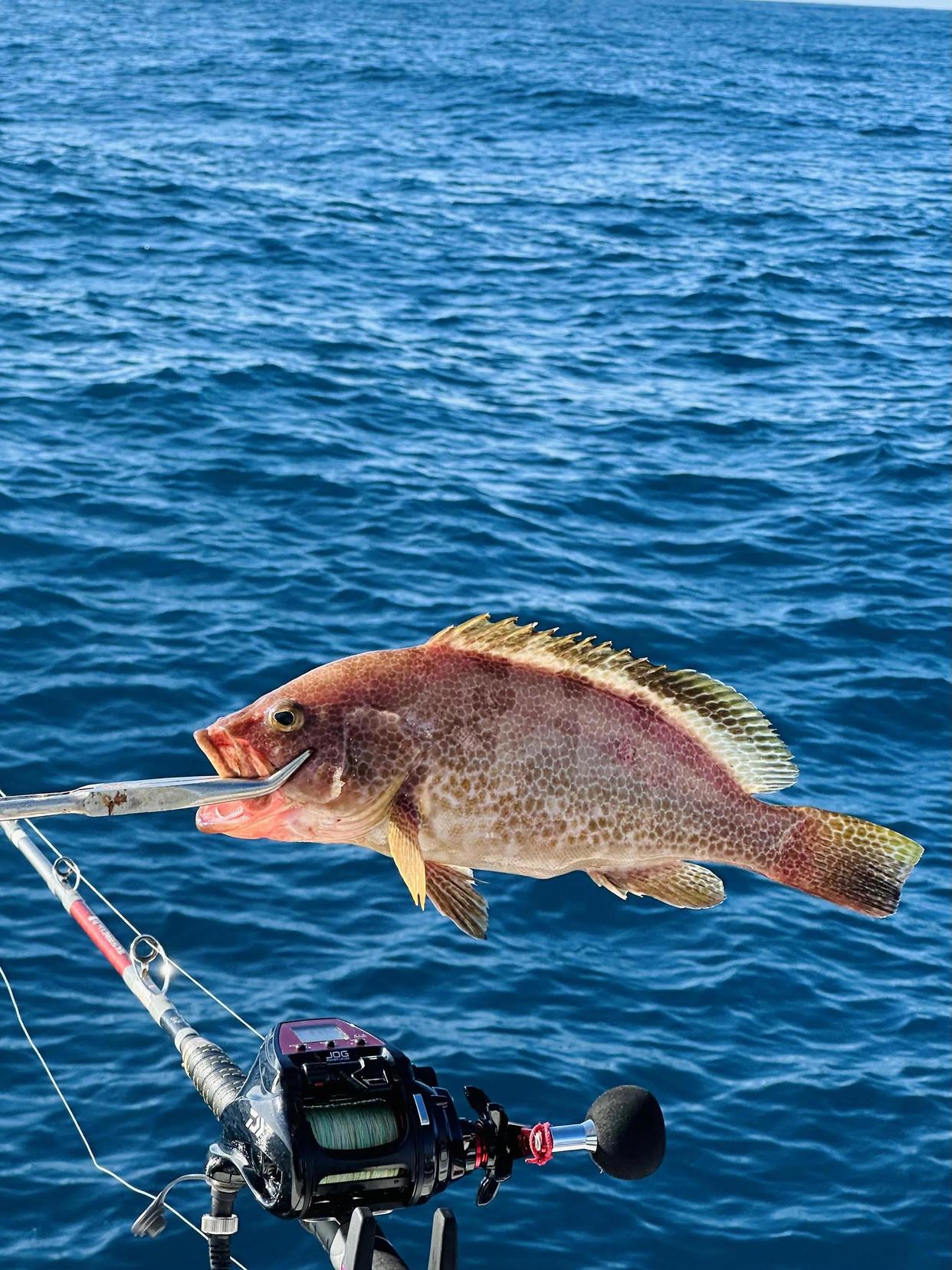 墨西哥海钓赛(墨西哥联赛附加赛)