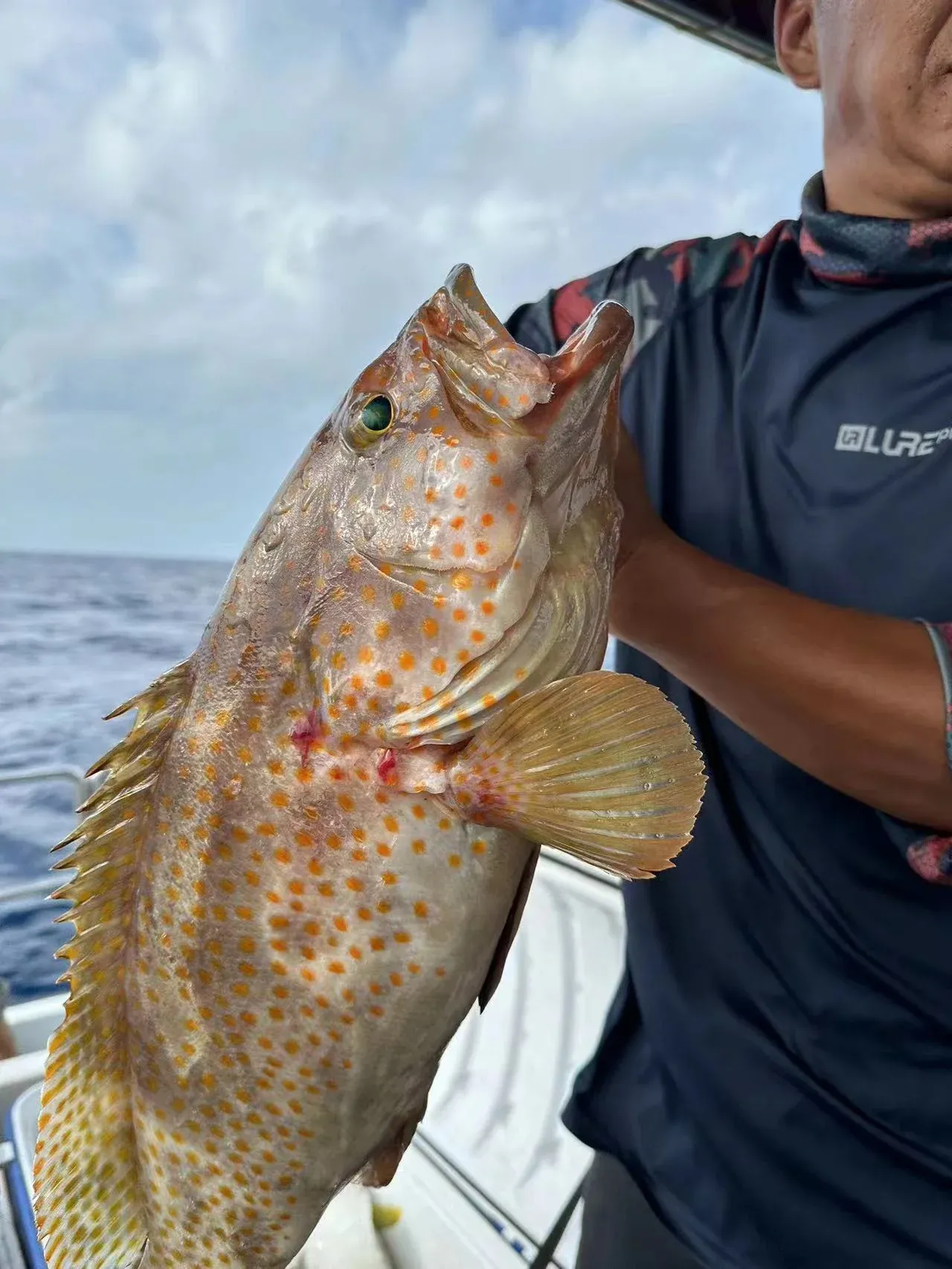 墨西哥海钓赛(墨西哥联赛附加赛)