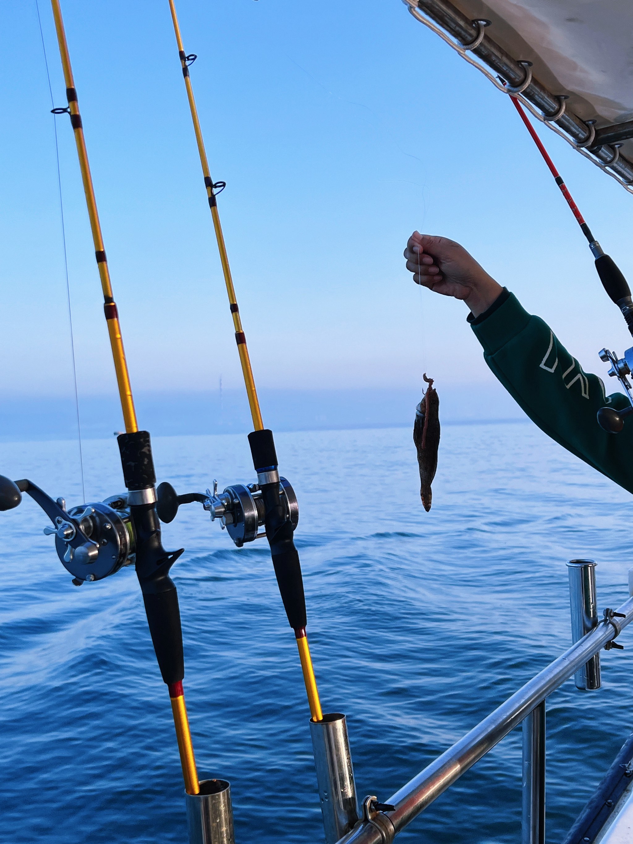 海钓贵族运动(海钓 gt)