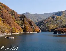 北方深秋饵料配方(北方深秋钓鱼饵料)