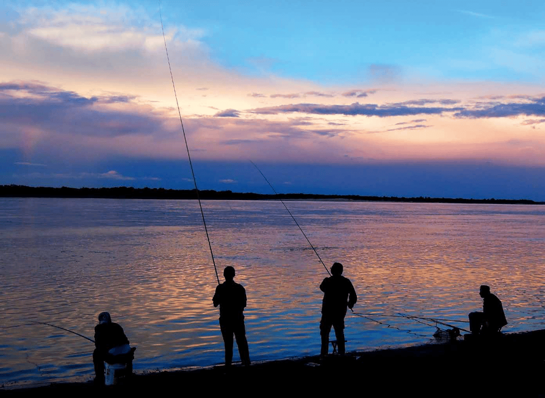 海钓守钓(海钓 入门)