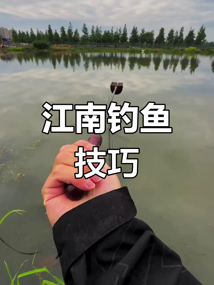 玉米棒打窝技巧(整根玉米打窝)