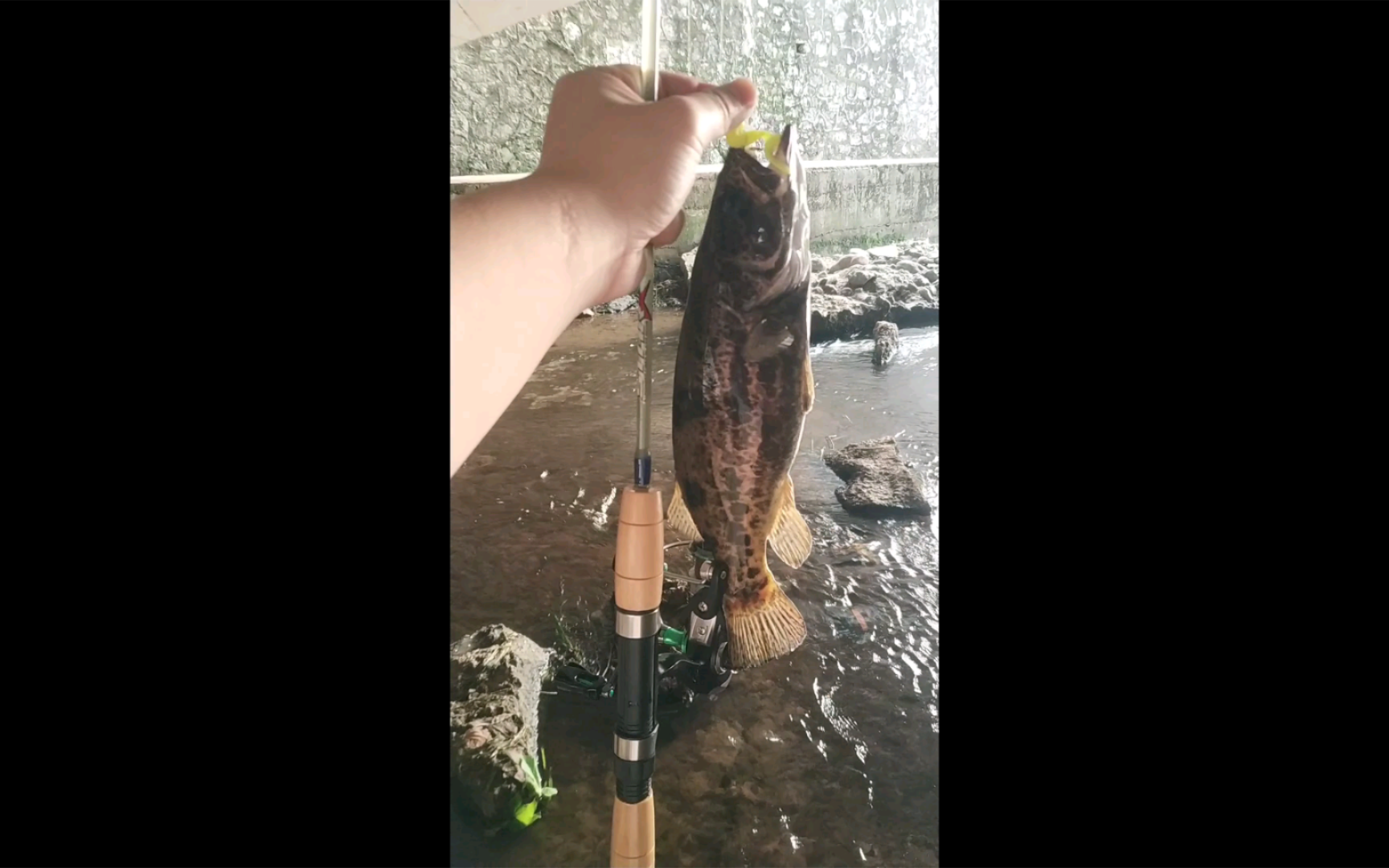 贵州路亚场地(贵州路亚俱乐部)