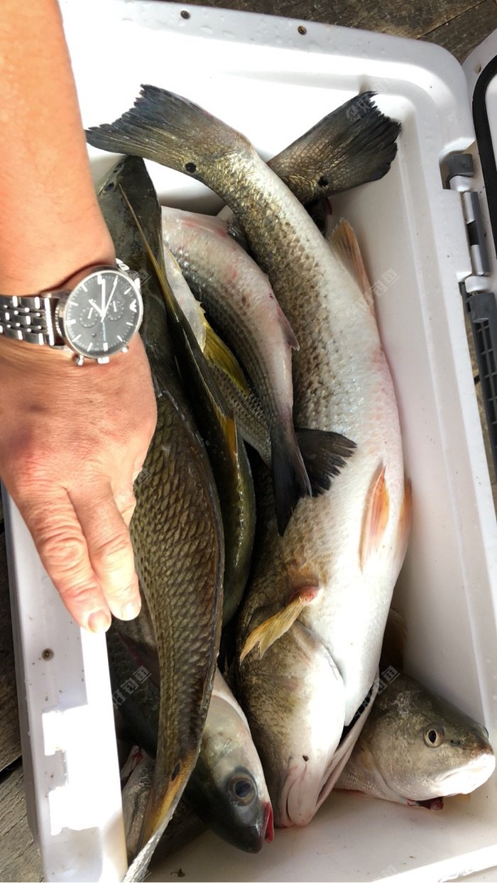 盘锦海钓论坛(盘锦钓场大全)