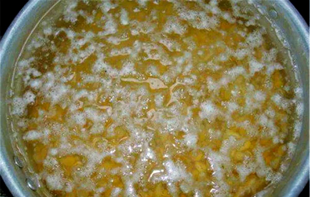 老玉米发酵技巧(老玉米发酵方法)