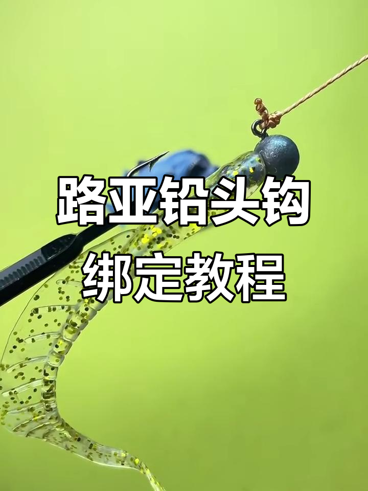 铅头钩路黑鱼技巧(铅头钩打黑) 铅头钩路黑鱼技巧(铅头钩打黑)