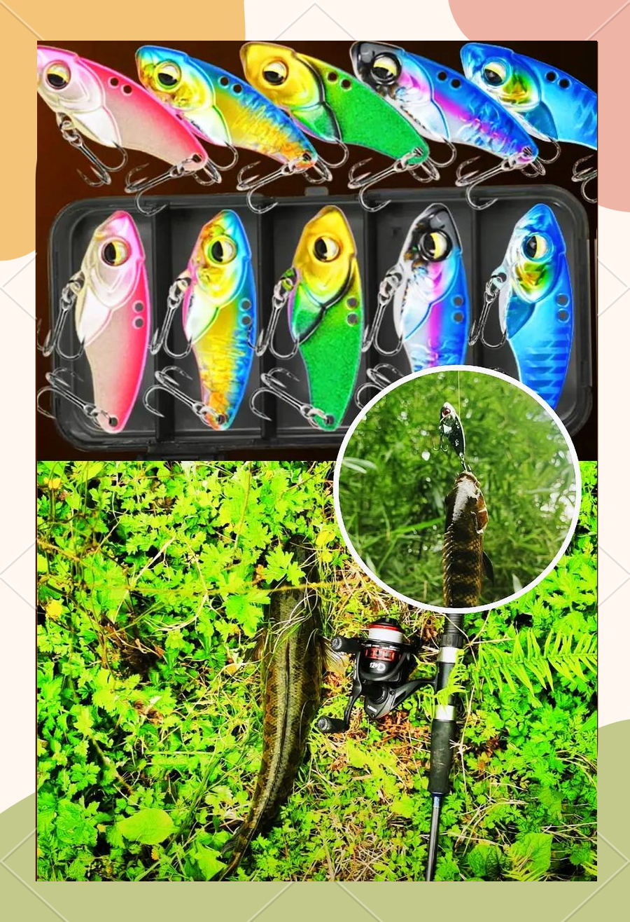 红虫怎样拌饵料(红虫饵的挂法)