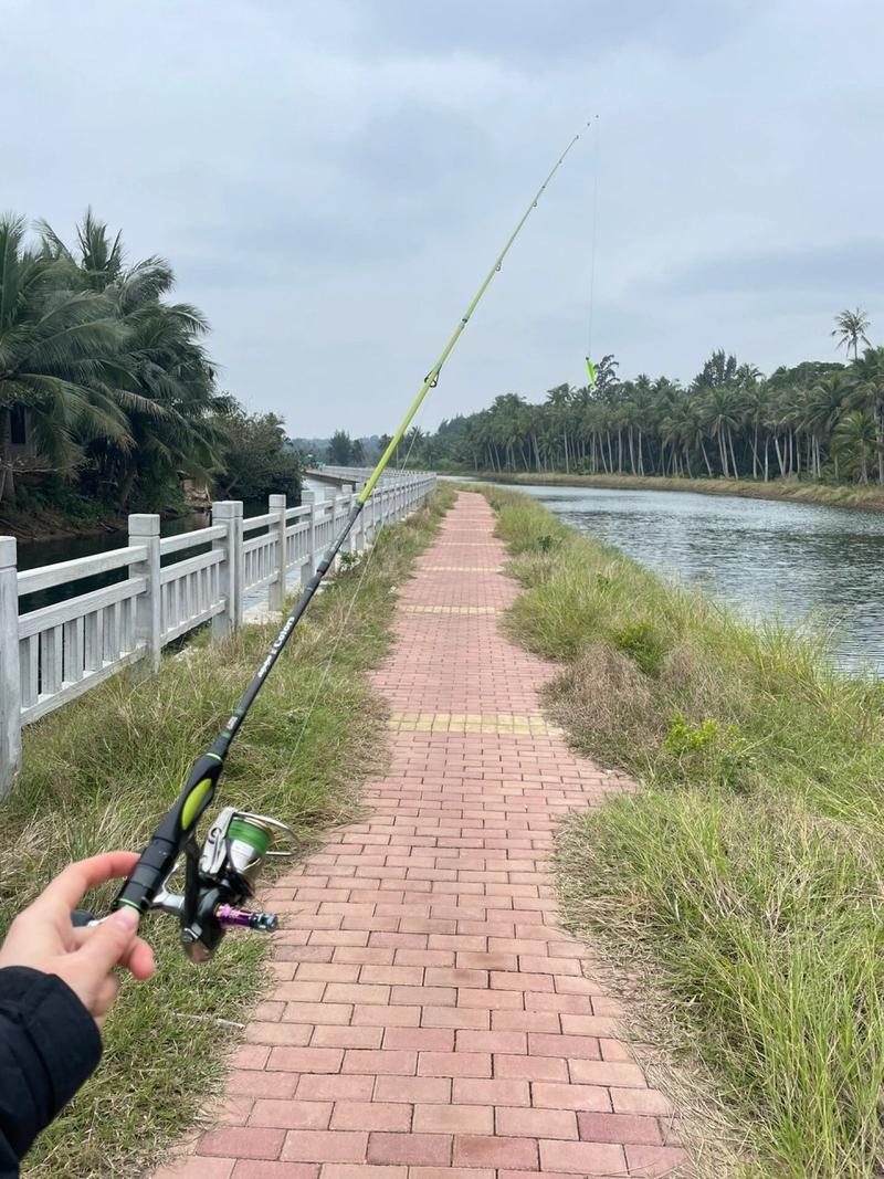 自贡路亚地点(自贡路亚翘嘴的地方)