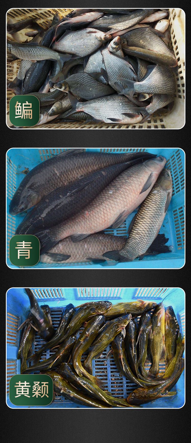 海钓开口用什么药水(海钓鱼口不好的钓鱼方法)