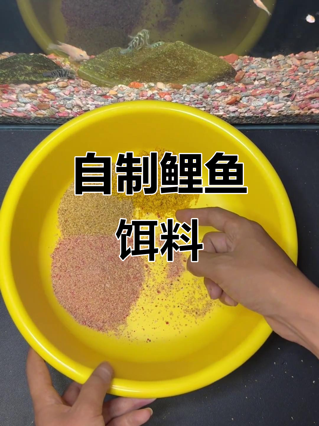 给鲤鱼专门配比饵料(给鲤鱼专门配比饵料是什么)