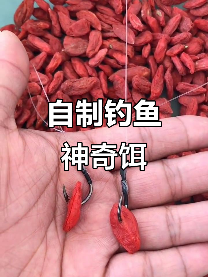 饵料加蜂蜜效果怎么样(饵料加蜂蜜效果怎么样视频)