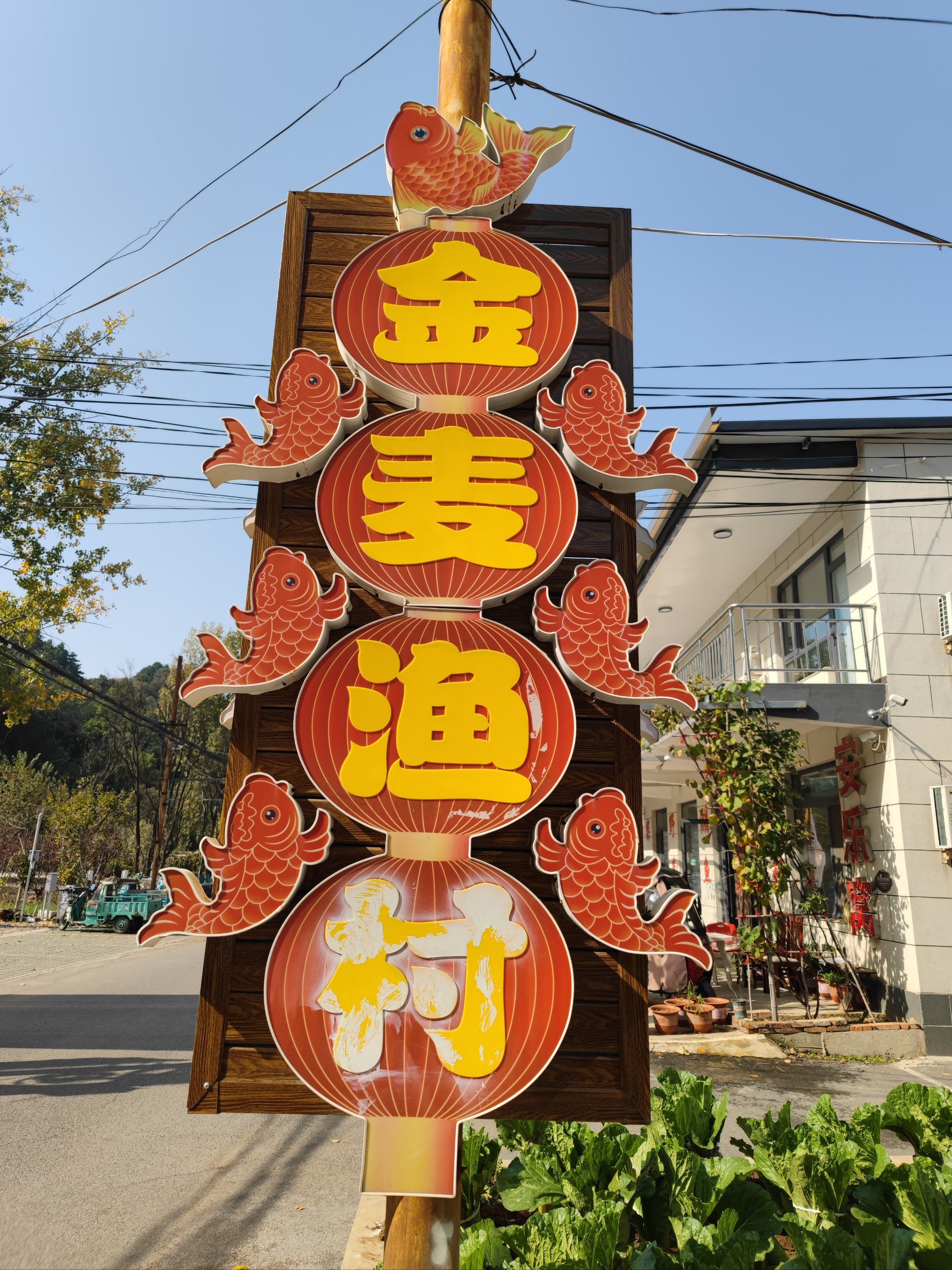 2天顺渔具店(渔具店加盟免费铺货)