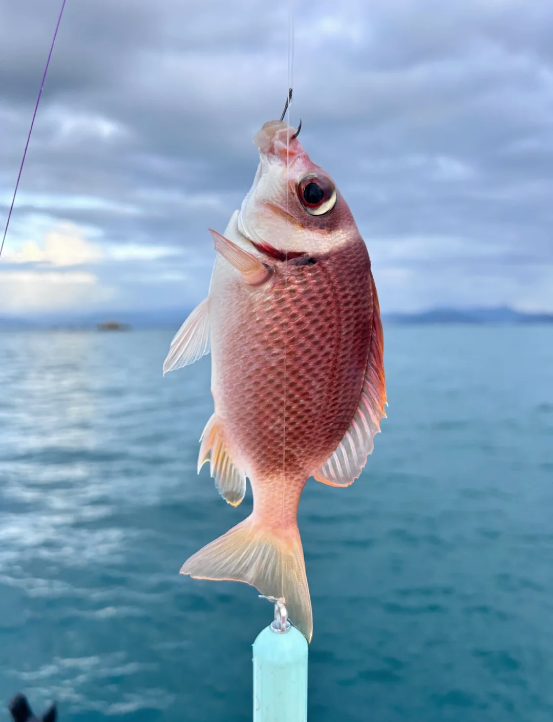 三亚附近免费海钓(三亚近海钓鱼) 三亚附近免费海钓(三亚近海钓鱼)