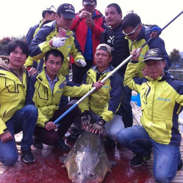 纪氏渔具正品(渔具排行榜前十名)