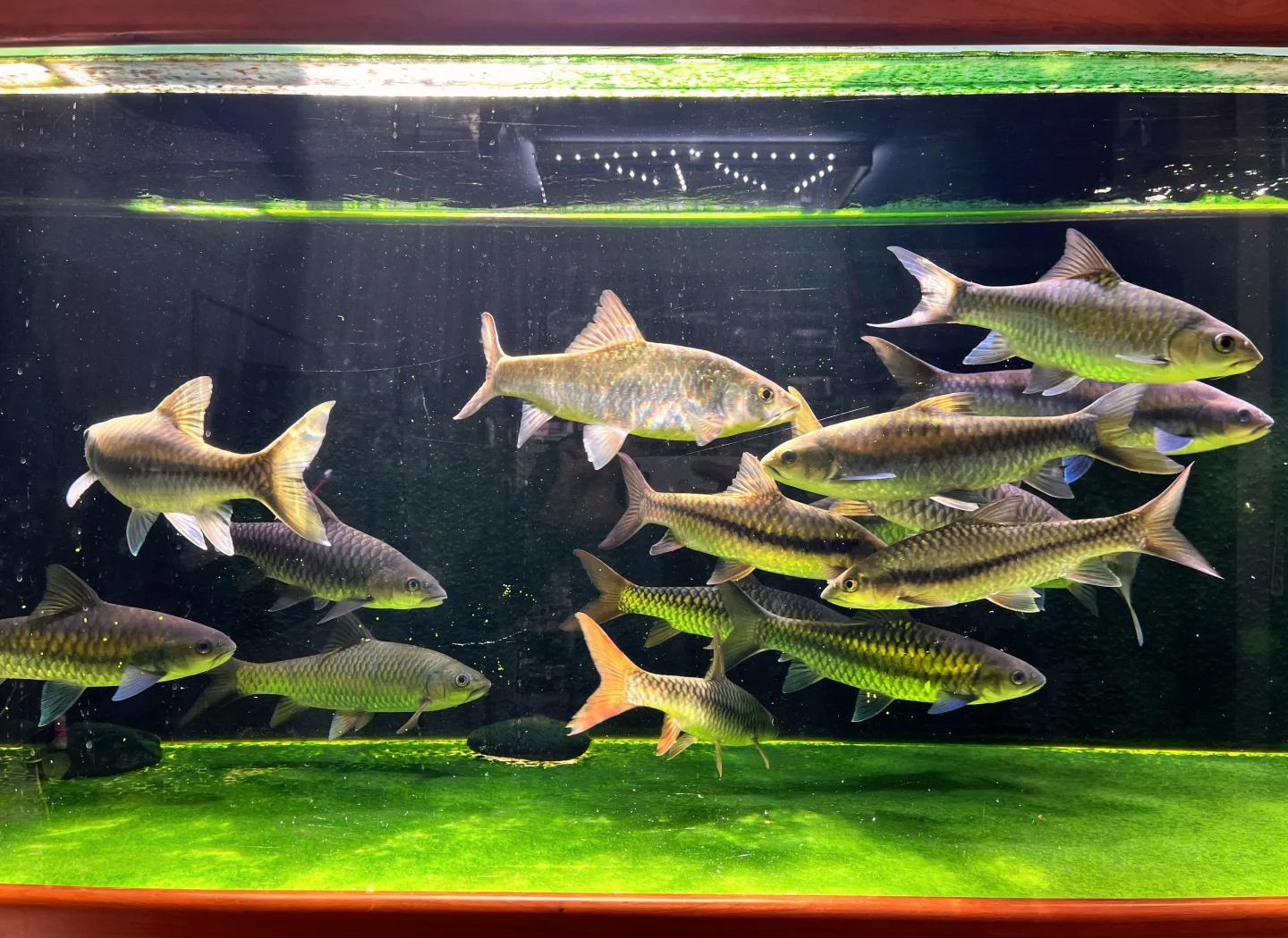 北京规模最大的渔具店(北京规模最大的渔具店在哪里)