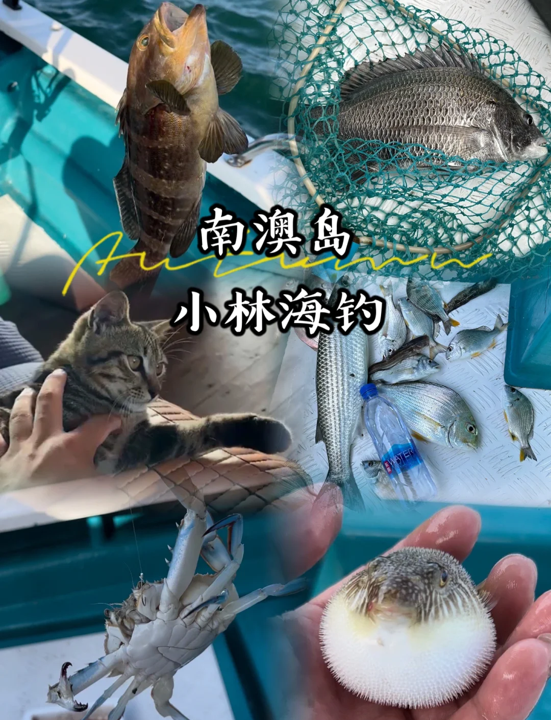 汕头海钓价格表(汕头海边钓鱼哪里最好)