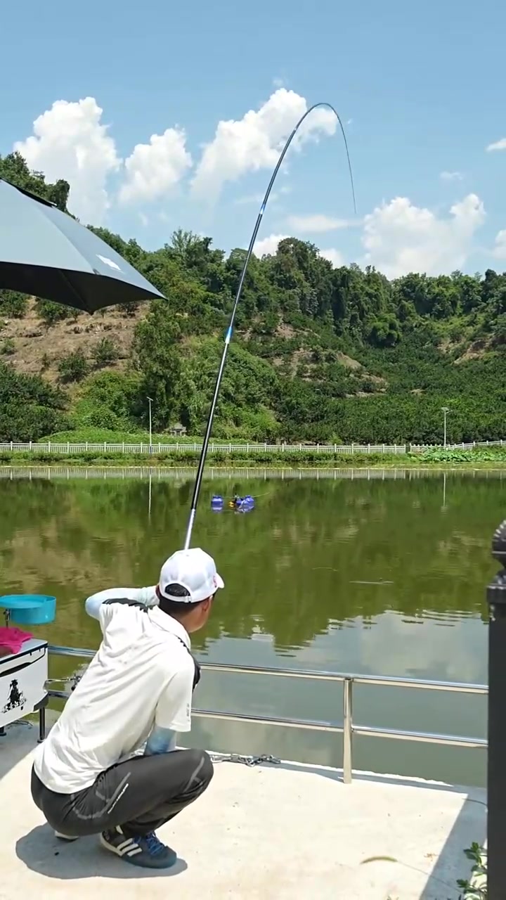 混养塘钓乌青技巧(钓混养塘用什么浮漂) 混养塘钓乌青技巧(钓混养塘用什么浮漂)