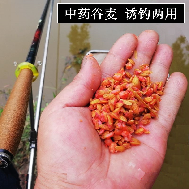 重庆最好的饵料(重庆钓场推荐)