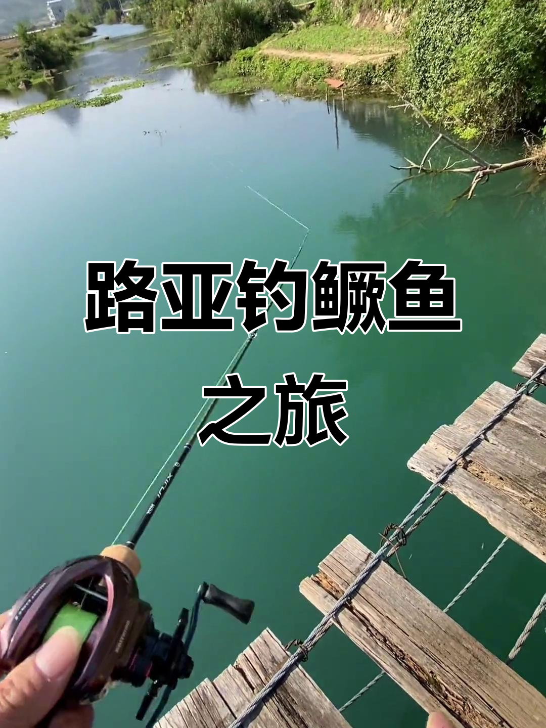 三亚哪里适合路亚钓(三亚路亚鱼种)