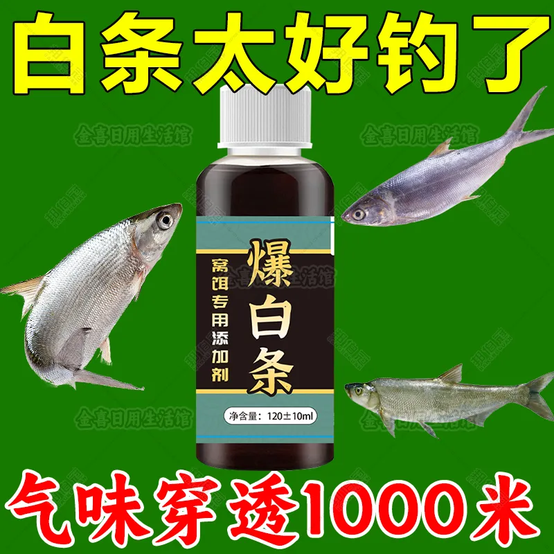 野河钓白条鱼技巧(野河钓白条鱼技巧图解)